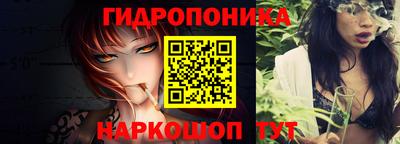 a pvp Бийск