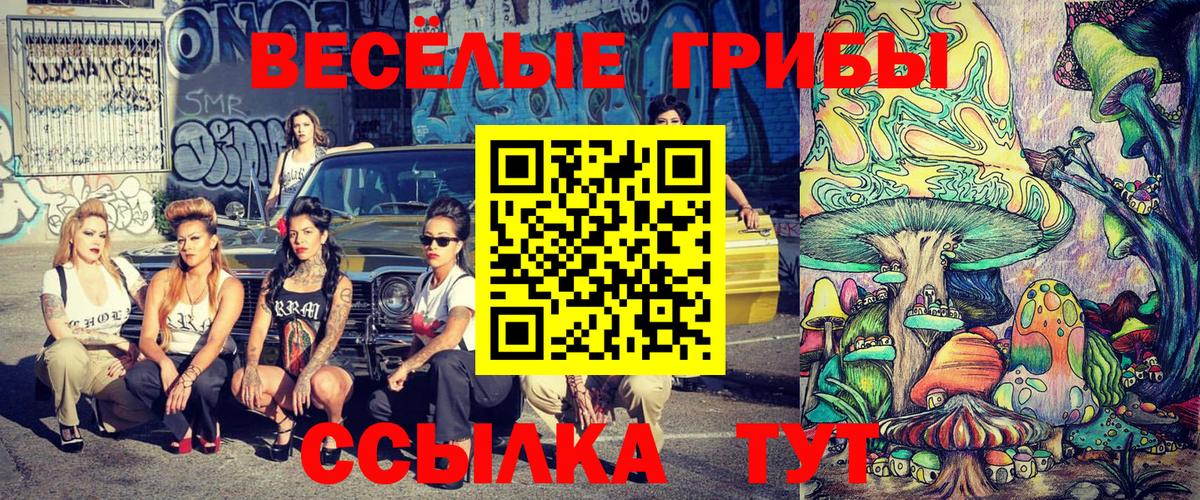 Кемерово  Псилоцибиновые грибы Magic Shrooms  Вход с VPN  Галлюциногенные грибы прущие грибы 