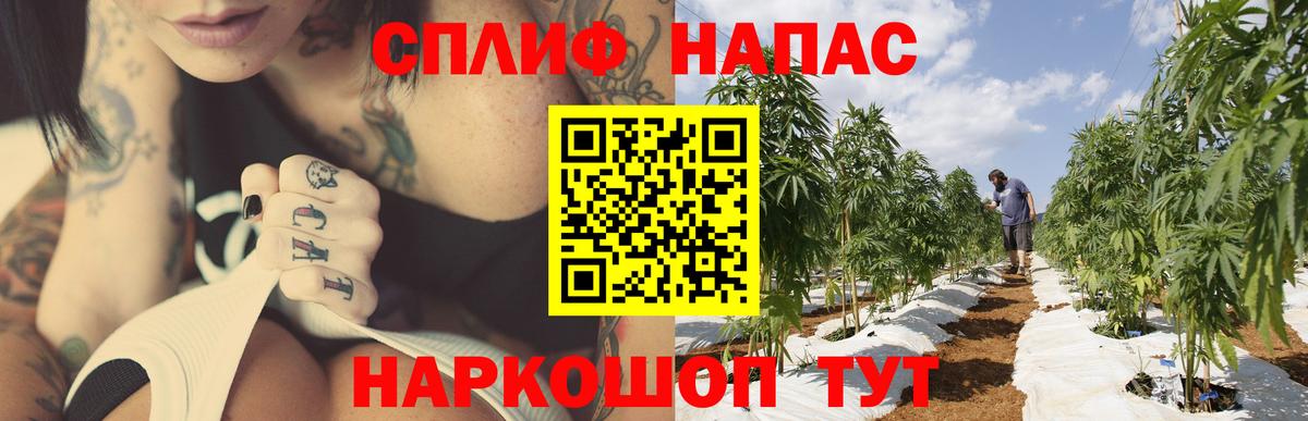 МАРИХУАНА OG Kush Кемерово